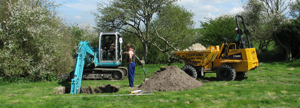 blue digger in a garden 